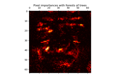 Pixel importances with a parallel forest of trees