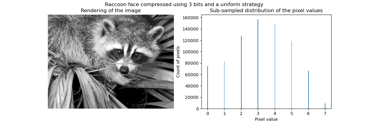 Raccoon face compressed using 3 bits and a uniform strategy, Rendering of the image, Sub-sampled distribution of the pixel values