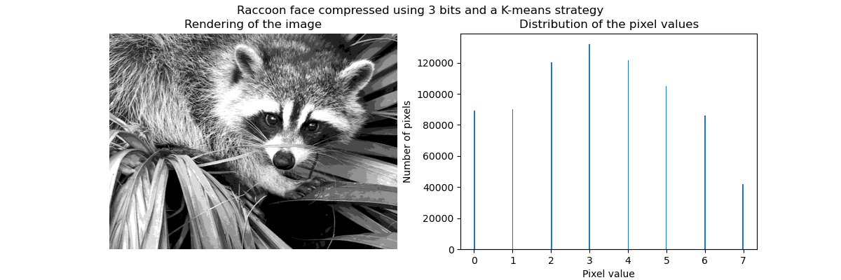 Raccoon face compressed using 3 bits and a K-means strategy, Rendering of the image, Distribution of the pixel values